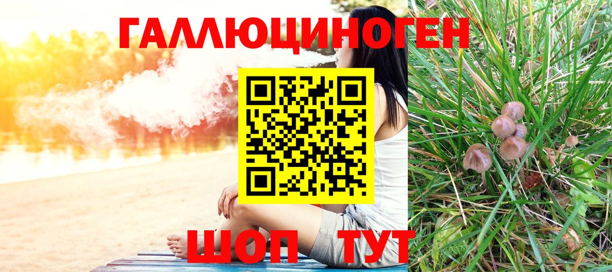 Галлюциногенные грибы Psilocybe  Вход с VPN  Иркутск 